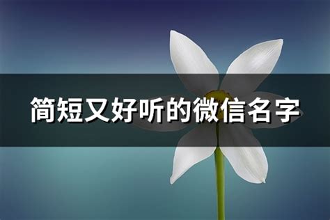 中年人微信名|中年人好听的微信名字（精选440个）,中年微信名